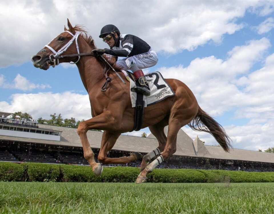 Glycogen - P. G. Johnson Stakes - Saratoga - Barbara D. Livingston - Daily Racing Form