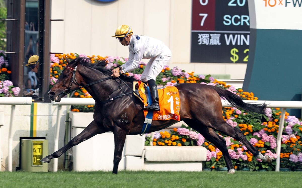 Golden Sixty - photo credit Hong Kong Jockey Club