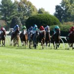 Keeneland Scenics - Coady Media