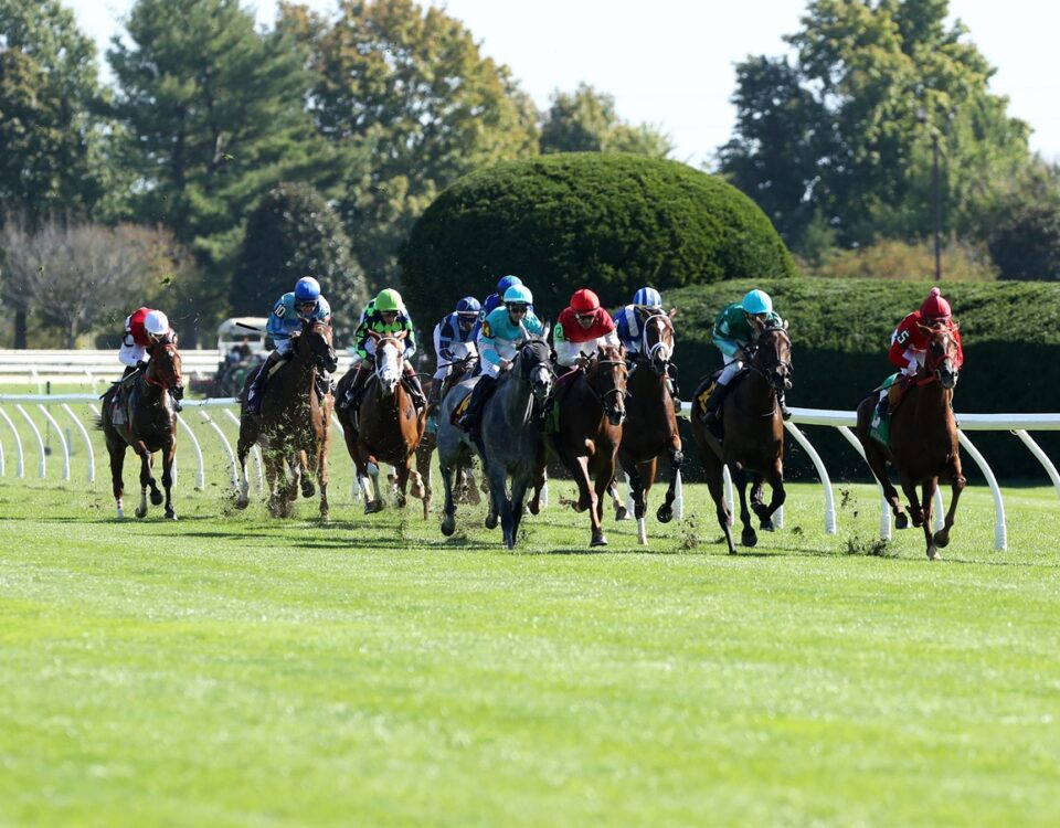 Keeneland Scenics - Coady Media