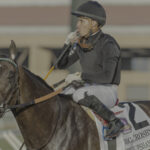 Listenupshance - Bing Crosby Stakes G1 - Del Mar - BENOIT PHOTO