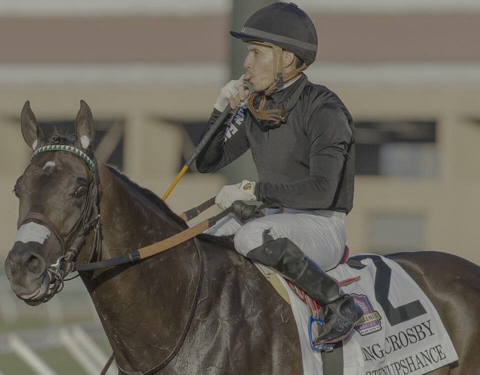 Listenupshance - Bing Crosby Stakes G1 - Del Mar - BENOIT PHOTO