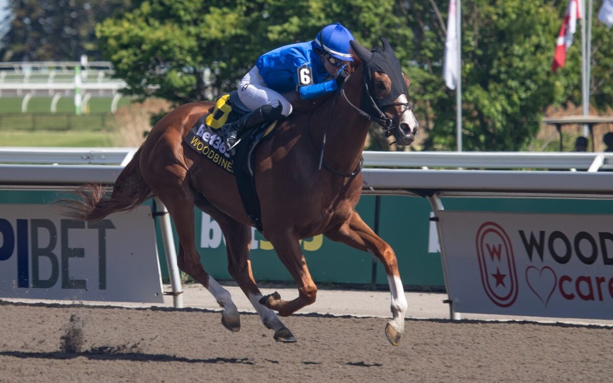 Maycocks Bay - Eclipse Stakes G2 - Woodbine/ Julie Wright - Daily Racing Form