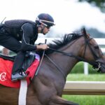 Nitrogen ejercitando en Saratoga en Sep2. Foto: Barbara D. Livingston - Daily Racing Form