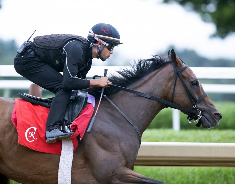 Nitrogen ejercitando en Saratoga en Sep2. Foto: Barbara D. Livingston - Daily Racing Form