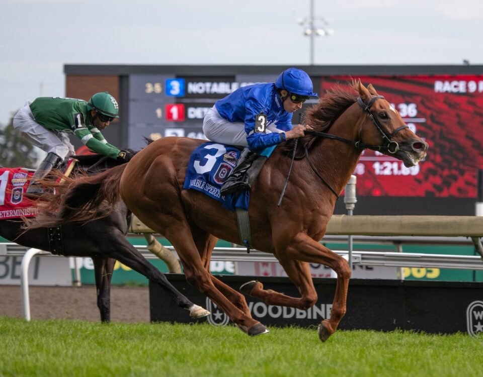 Notable Speech (GB) - Woodbine Mile G1 - Julie Wright - Daily Racing Form