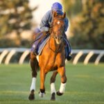 Notable Speech galopando sobre la E.P.Taylor turf - Woodbine - Michale Burns photo