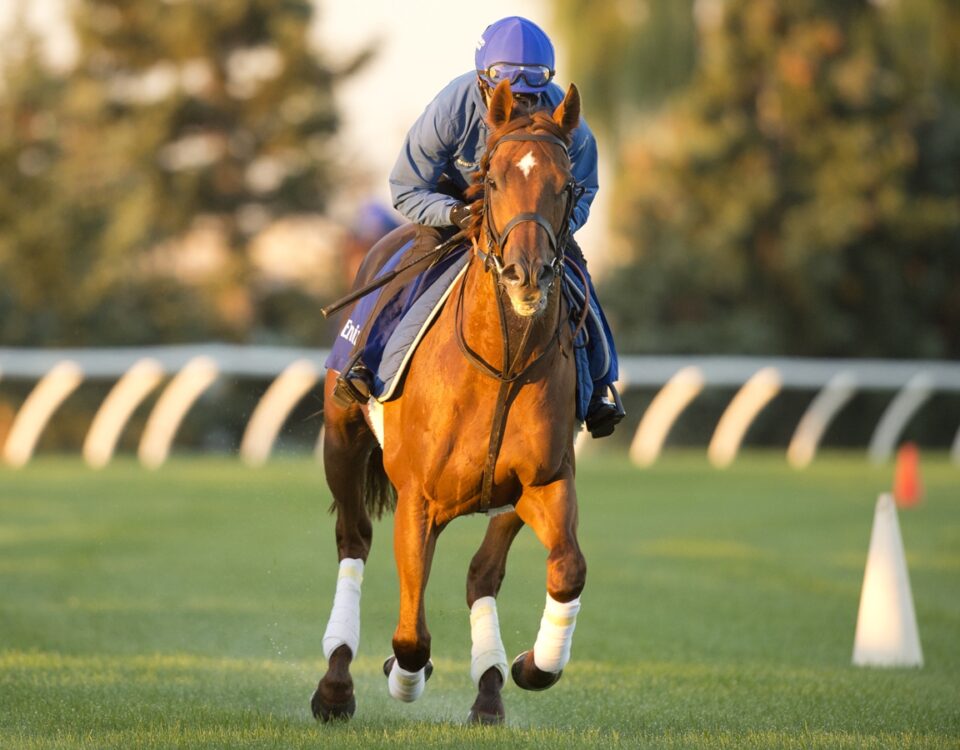 Notable Speech galopando sobre la E.P.Taylor turf - Woodbine - Michale Burns photo