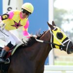 POSSIBLEMENTE - Kentucky Downs Turf Sprint G II - Kentucky Downs - Casey Cable / Coady Media