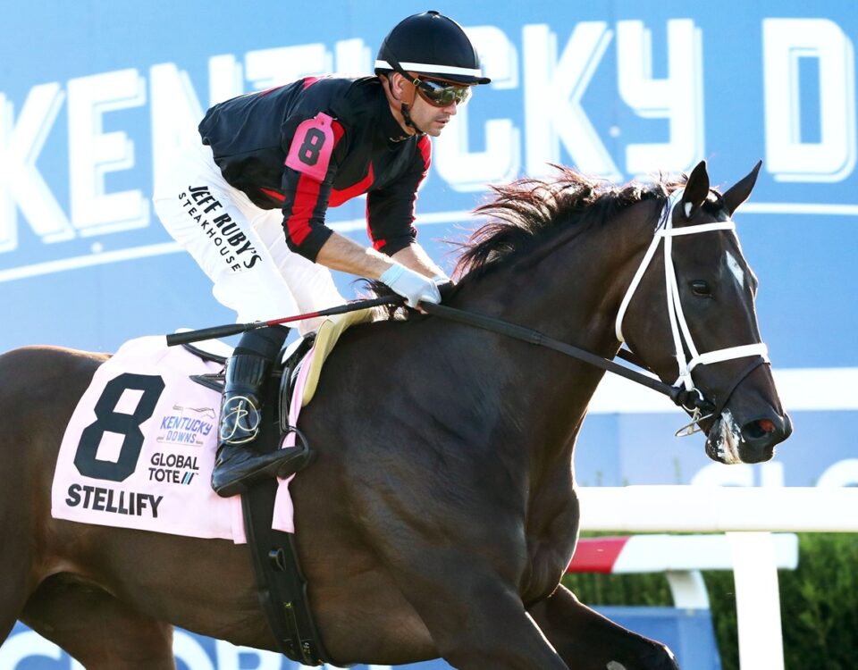 STELLIFY - The Global Tote Kentucky Downs Ladies Marathon Invitational G3 - Kentucky Downs - Casey Cable / Coady Photo