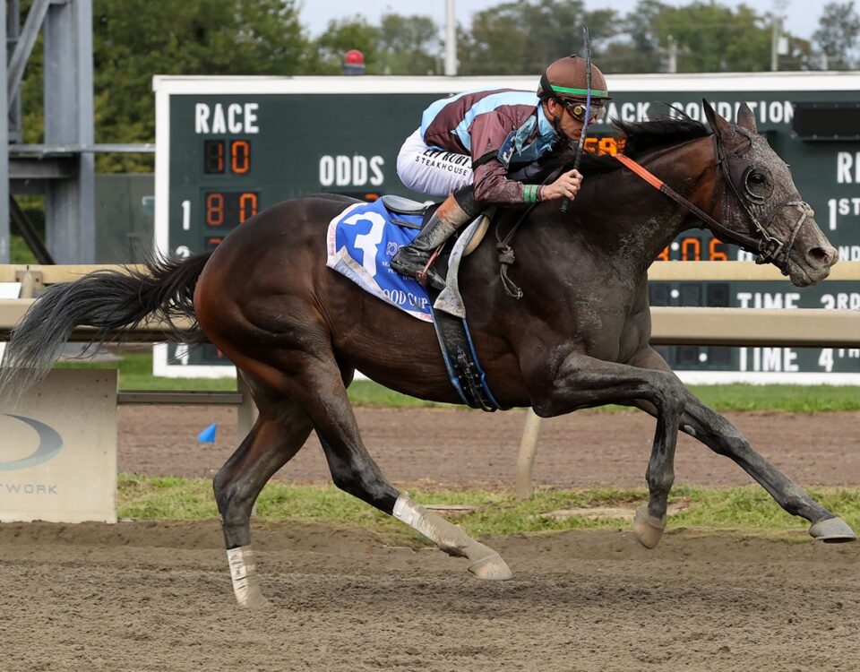 San Siro - Greenwood Cup - Parx Racing - Susie Raisher / DRF