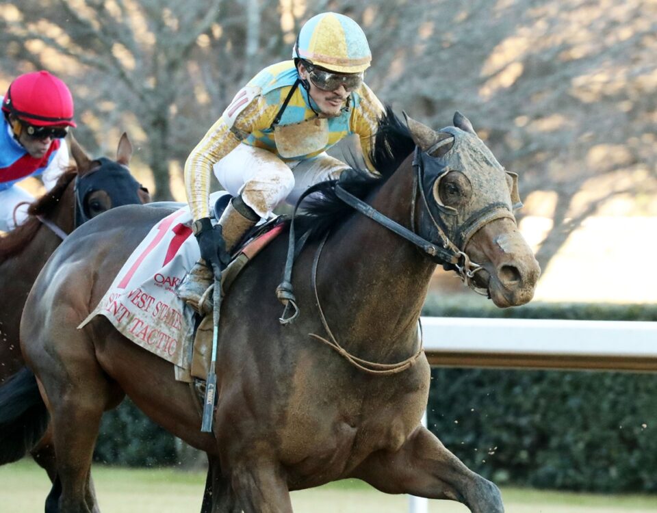 Silent Tactic - Southwest Stakes G3 2026 - Oaklawn Park - Coady Media