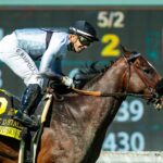 Sorrento Sky (Ire) - Eddie D Stakes G2 - Santa Anita Park - BENOIT Photo
