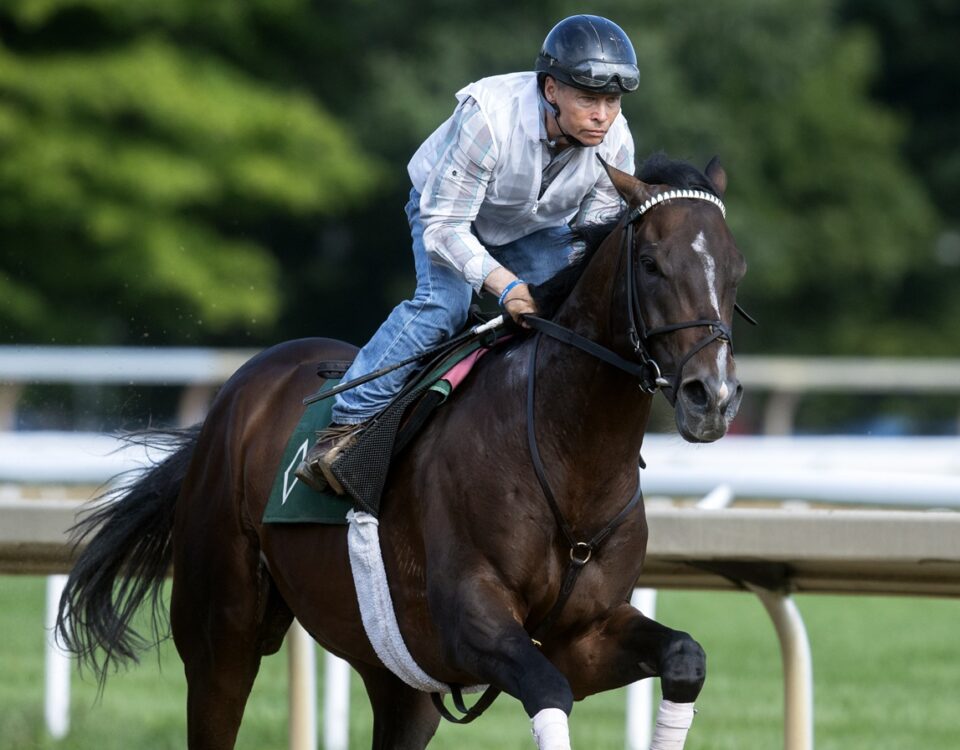 Sovereignty - Barbara D. Livingston - Daily Racing Form