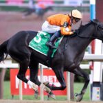 Velora - Seeking the Ante Stakes - Saratoga - Barbara D. Livingston - Daily Racing Form