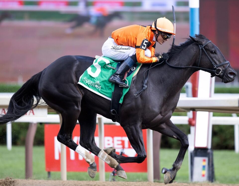Velora - Seeking the Ante Stakes - Saratoga - Barbara D. Livingston - Daily Racing Form