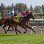 Voyager - Natalma G1 - Julie Wright - Daily Racing Form