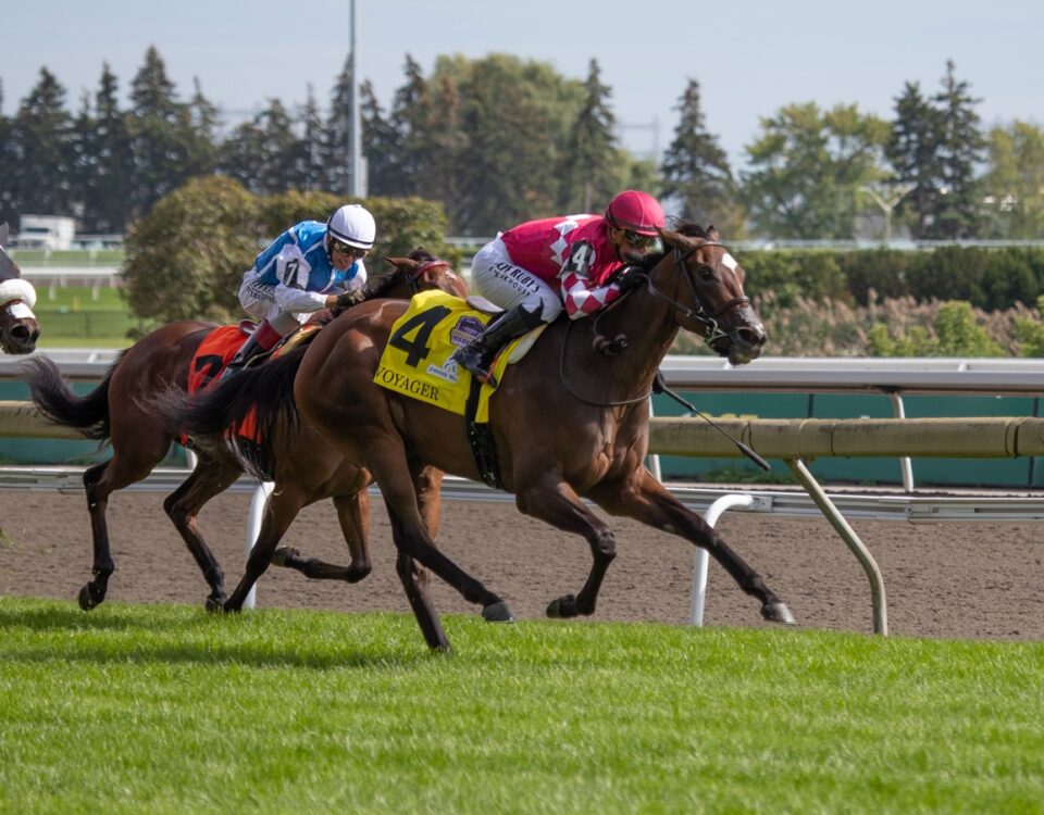 Voyager - Natalma G1 - Julie Wright - Daily Racing Form