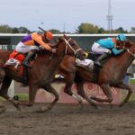 The Puma - Pennsylvania Derby G1 $1M - Susie Raisher / Daily Racing Form